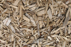 biomass boilers Suardail